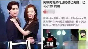 卓伟爆料杨幂最新消息,卓伟曝惊人消息，揭秘杨幂近况！